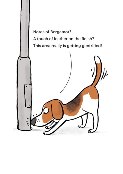 Funny Birthday Card - Gentrification - Dog Smelling Joke created by Cardinky