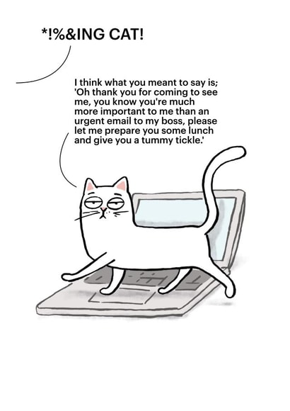 Funny Just Because card - Cartoon Cat - Important Email created by Cardinky