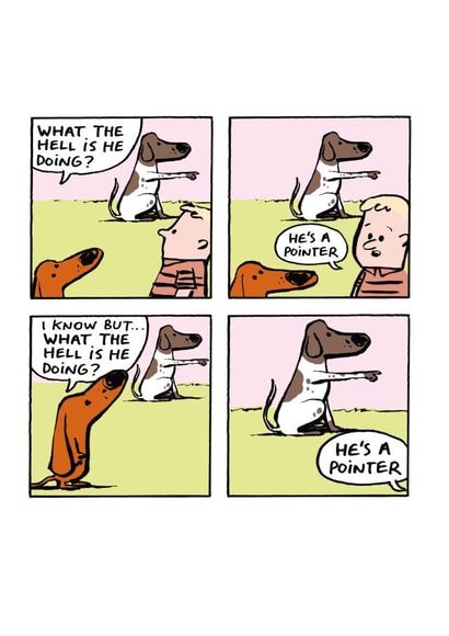 Funny Birthday Card - Cartoon - Pointer created by Cardinky