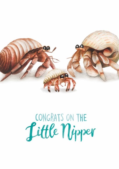 Cute New baby Card - Little Nipper - Hermit Crab Pun Card created by Citrus Bunn