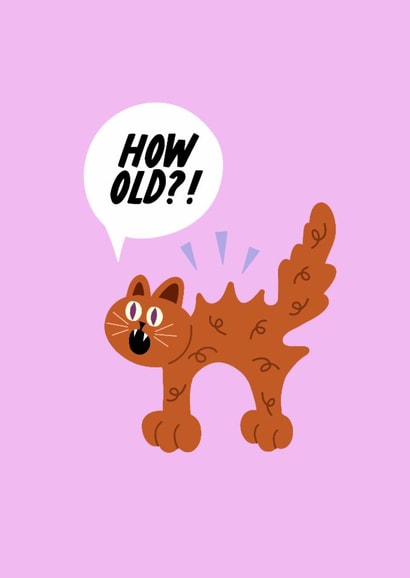 Cheeky Birthday Card - Funny Cat Cartoon - How Old?! created by The Marmalade Cat