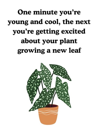 House plant lover birthday card created by Chonkies