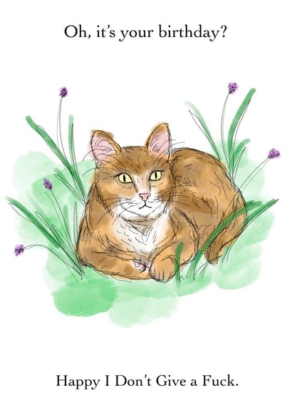 Cheeky Birthday Card - From The Cat - Sketched Cat in Flowers created by CressidaMakesCards