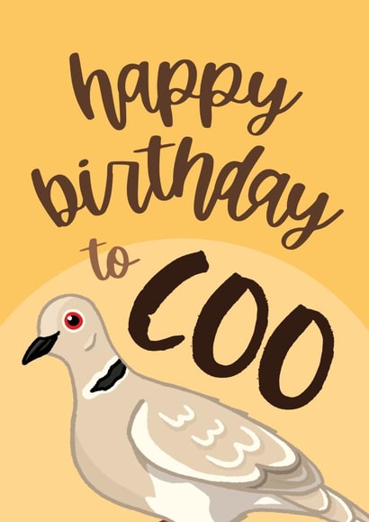 Funny Birthday Card - Pigeon Pun - British Bird created by Bev O'Connor || @oconnordesign