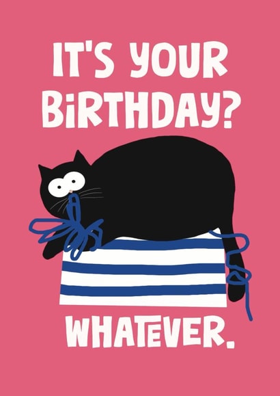 Funny Birthday Card - From The Cat - Sarcastic Cat | thortful