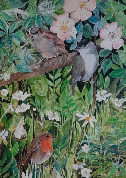 Hedgerow Burds created by Sally Taylor