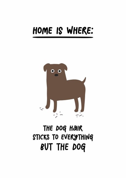 Cute New Home Card - Dog Owners - Dog Hair created by @hollielonglanddesigns