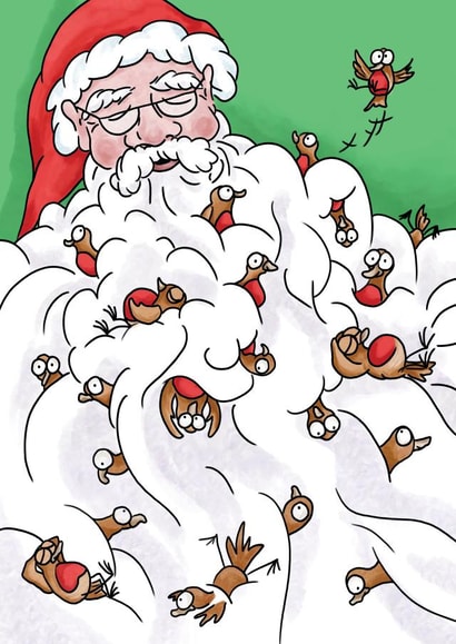 Funny Christmas Card - Santa's Beard With Robins created by Lucy Reynolds