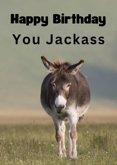 Happy Birthday You Jackass created by Riad Mannan