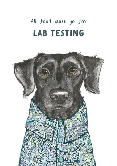 Cute Labrador Birthday Card - Dog - Arty created by Rosie Made A Thing