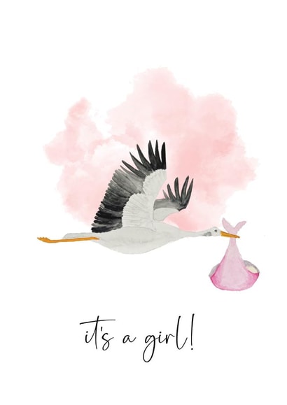 Arty New Baby Card - Baby Girl - Stork created by Heather Trefusis Art
