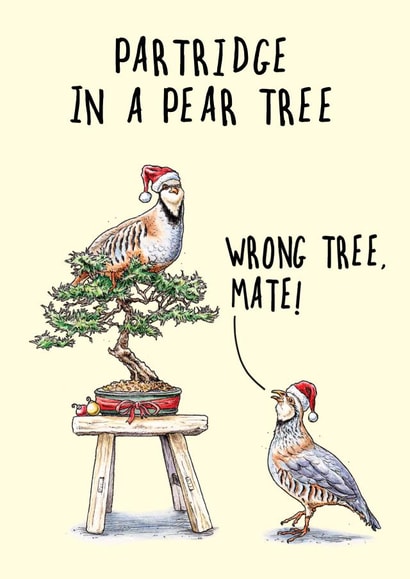 Funny Christmas Card - Twelves Days Of Christmas - Partridge - Wrong Tree created by Bewilderbeest