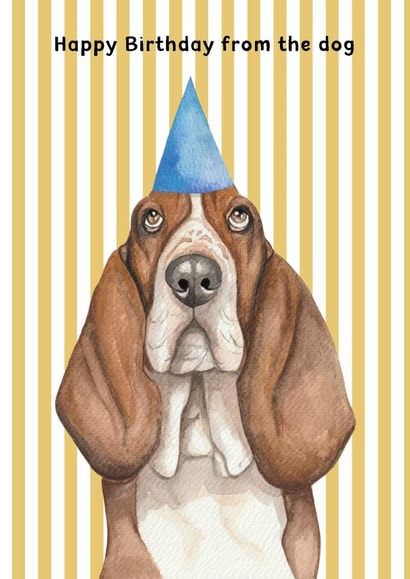 Cute Birthday Card - From The Dog - Basset Hound created by lil wabbit