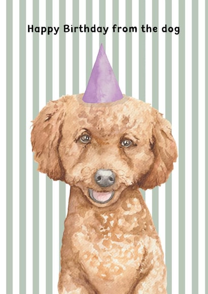 Cute Birthday Card - From The Dog - Cockapoo created by lil wabbit