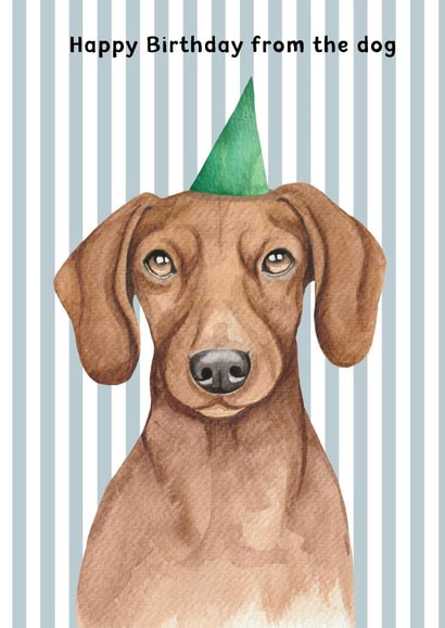 Cute Birthday Card - From The Dog - Dachshund created by lil wabbit