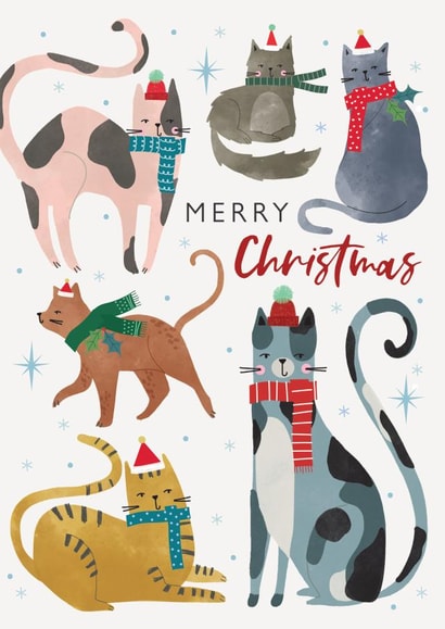 Cute Christmas Card - Festive Cats - Modern Contemporary created by Laura Darrington Design Ltd.