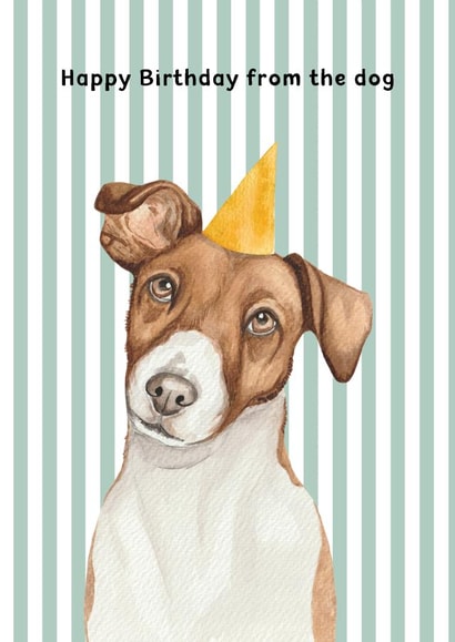 Cute Birthday Card - From The Dog - Jack Russell - Party Hat created by lil wabbit