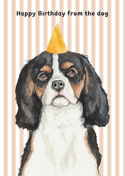 Cute Birthday Card - From The Dog - Cavalier King Charles Spaniel - Party Hat created by lil wabbit