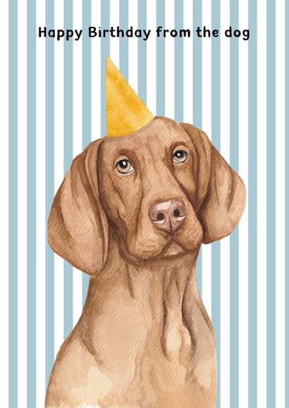 Cute Birthday Card - From The Dog - Visla - Party Hat | thortful