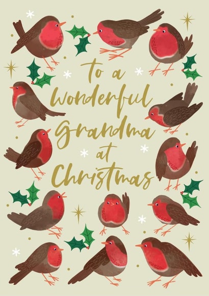 Cute Christmas Card - For Grandma - Festive Robins created by Laura Darrington Design Ltd.