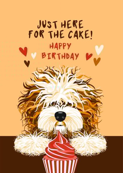 Cute Birthday Card - Shaggy Dog - Bearded Collie - Cake created by Diva Doodle Designs