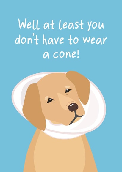 Cute Get Well Card - Labrador - Cone created by Silly Billy