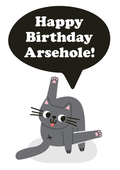 Cheeky Birthday Card - Arsehole - Cheeky Cat Card created by Studio Boketto