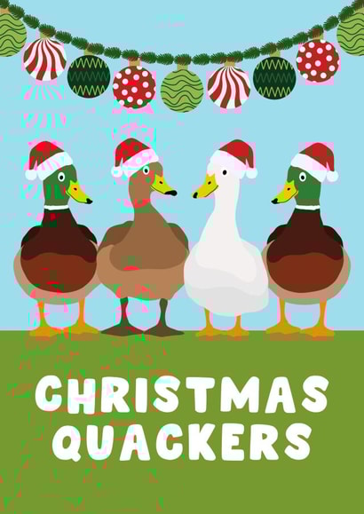 Funny Christmas Card - Christmas Quackers - Ducks created by Pink Peach Cards