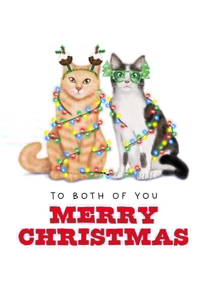 Funny Christmas Card - To Both Of You - Christmas Cats created by badgerbee design