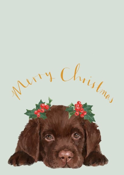 Chocolate Labrador Christmas Card Perfect For Dog Lovers And Labrador Owners created by Honey & Velvet Studio