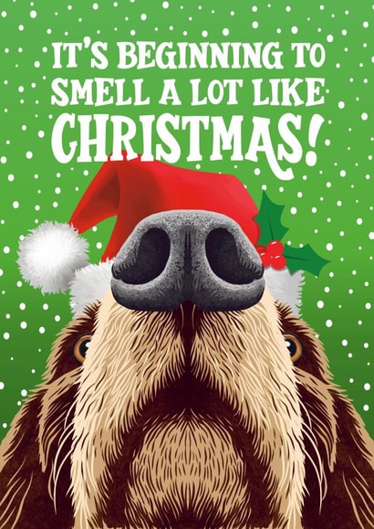 Cute Christmas Card - Dog - It's Beginning To Smell A Lot Like Christmas created by Atwood & Atwood