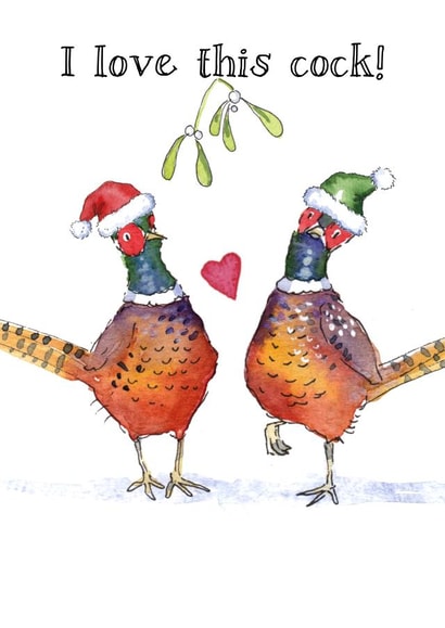 Funny Christmas Card - Pheasants - Gay - Mr And Mr created by Kate Garrett