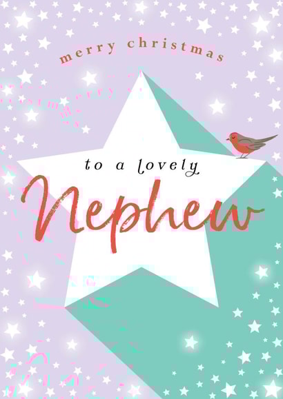 Classic Christmas Card - For A Lovely Nephew - Robin created by Michelle Fiedler Design