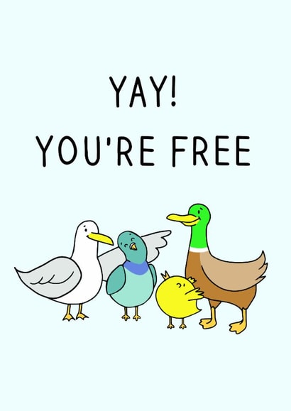Punny Divorced Birds Card to Make a New Divorcee Smile - Yay! You're Free created by CBL