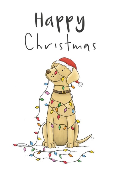 Cute Christmas Card - Golden Labrador - Lights created by Lucy Driver