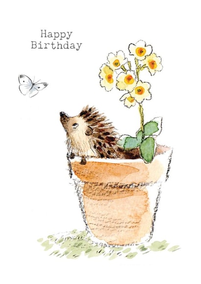 Cute Birthday Card - Hedgehog In Plant Pot created by Paper Shed Design