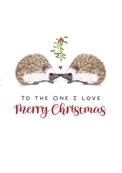 Cute Christmas Card - Hedgehogs - To The One I Love created by badgerbee design
