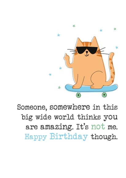 Funny Birthday Card - Cat - Skateboard created by Dandelion Stationery