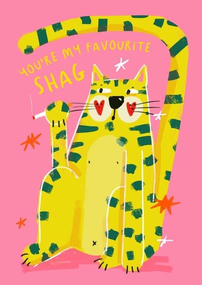 Naughty Valentine's Day Card - Favourite Shag created by NICHOLA COWDERY ILLUSTRATIONS