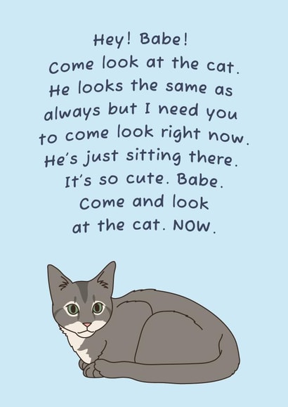 Cute Anniversary/Love & Friendship Card - Cat - Come Look created by Phaedra Peer