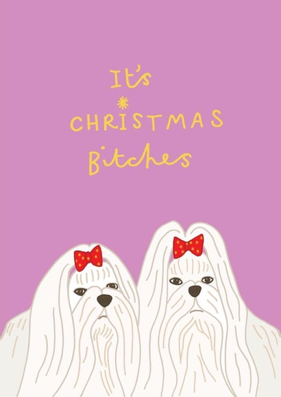 Funny Christmas Card - Maltese Dogs - It's Christmas Bitches created by You've Got Pen On Your Face