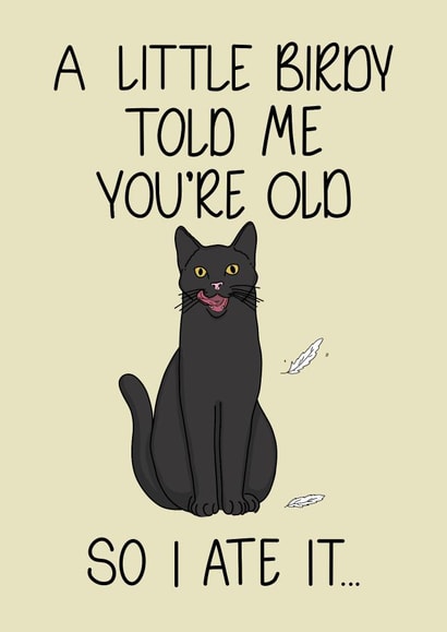 Funny Birthday Card | Cat Lover | Comical Cards created by Quirky Doodles