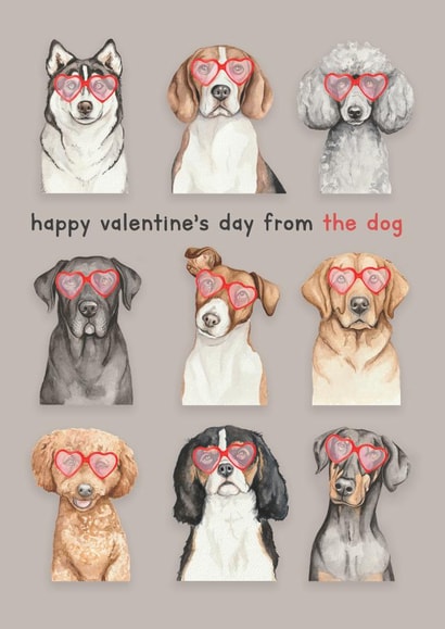 Cute Valentine's Day Card - From The Dog - Heart Sunglasses created by lil wabbit