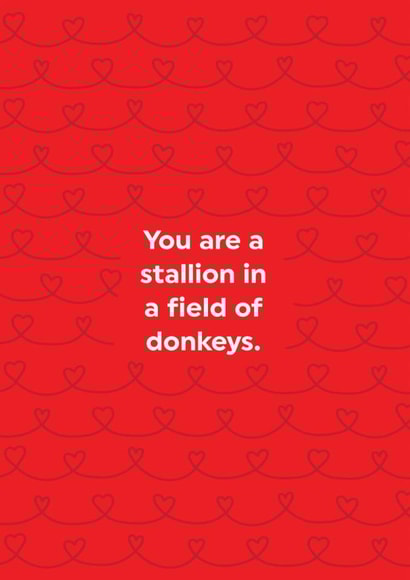 Funny Valentine's Card - Stallion In A Field Of Donkeys - Hearts created by Brainbox Candy