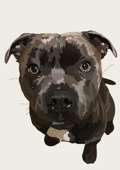 Cute Birthday/Just Because Card - Staffy - Dog created by Freya Fuller