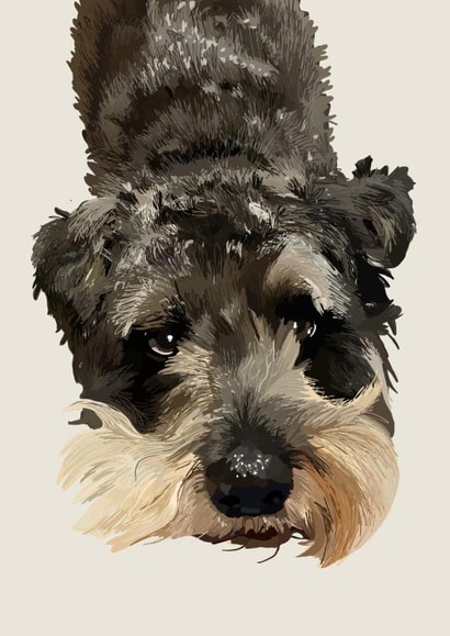 Cute Birthday/Just Because Card - Schnauzer - Puppy Eyes created by Freya Fuller