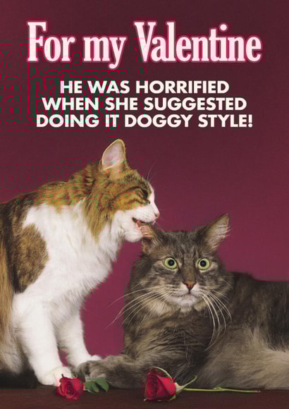 Funny Valentine's Day Card - Cats - Doggy Style created by Quitting Hollywood