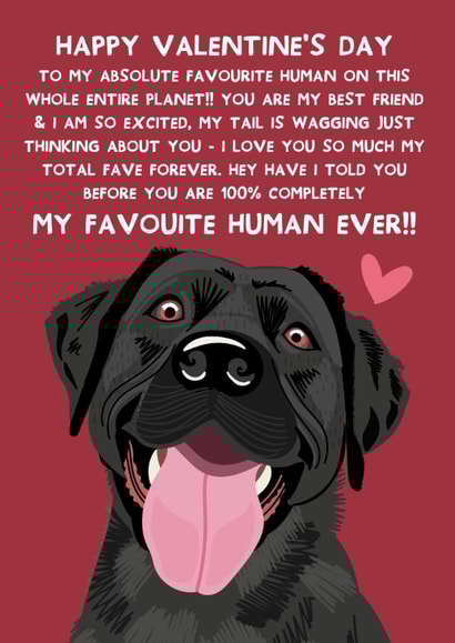 Cute Valentine's Day Card - From The Dog - Black Labrador created by From The Dog