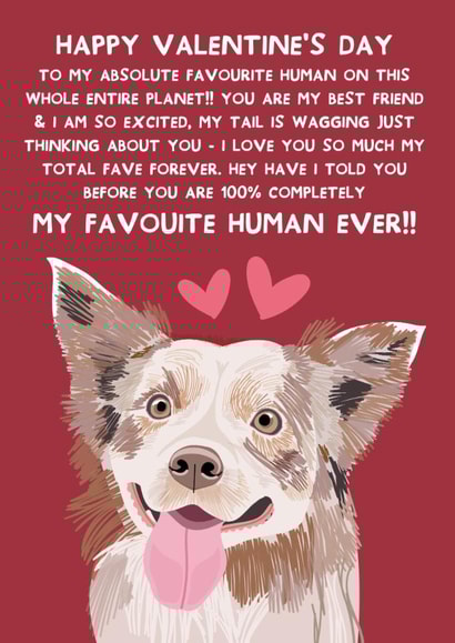 Cute Valentine's Day Card - From The Dog - Border Collie created by From The Dog
