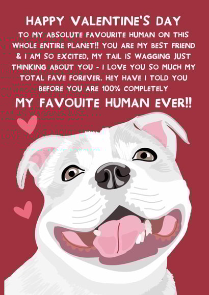 Cute Valentine's Card - From the Dog - White Staffordshire Bull Terrier created by From The Dog
